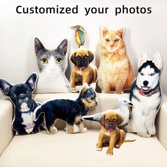 Custom Pet Pillow