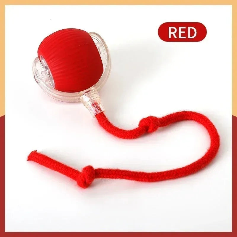 2PCS Cat Interactive Ball