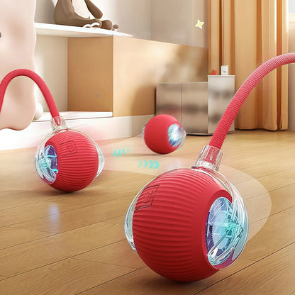 2PCS Cat Interactive Ball