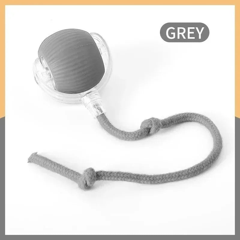2PCS Cat Interactive Ball