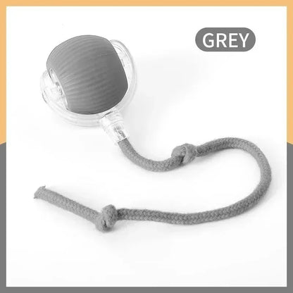 2PCS Cat Interactive Ball