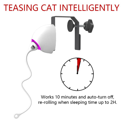 Corde pour jouet électrique pour chat