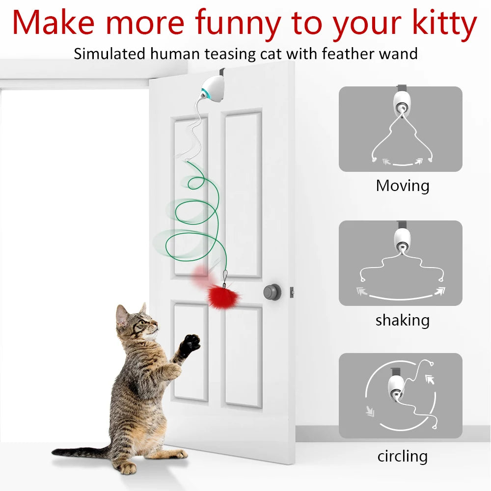 Corde pour jouet électrique pour chat