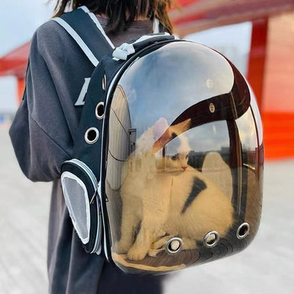 Pet Backpack